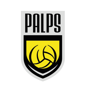 Liga Męska