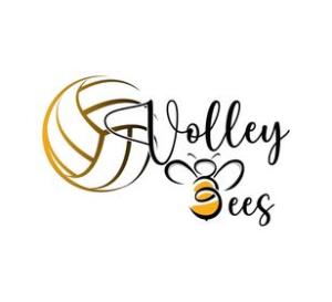 VolleyBees