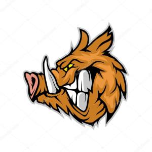 Dziki