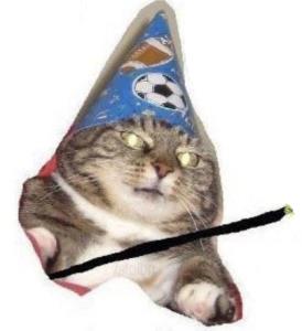 Magiczne kotki