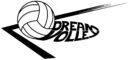 Dream Volley